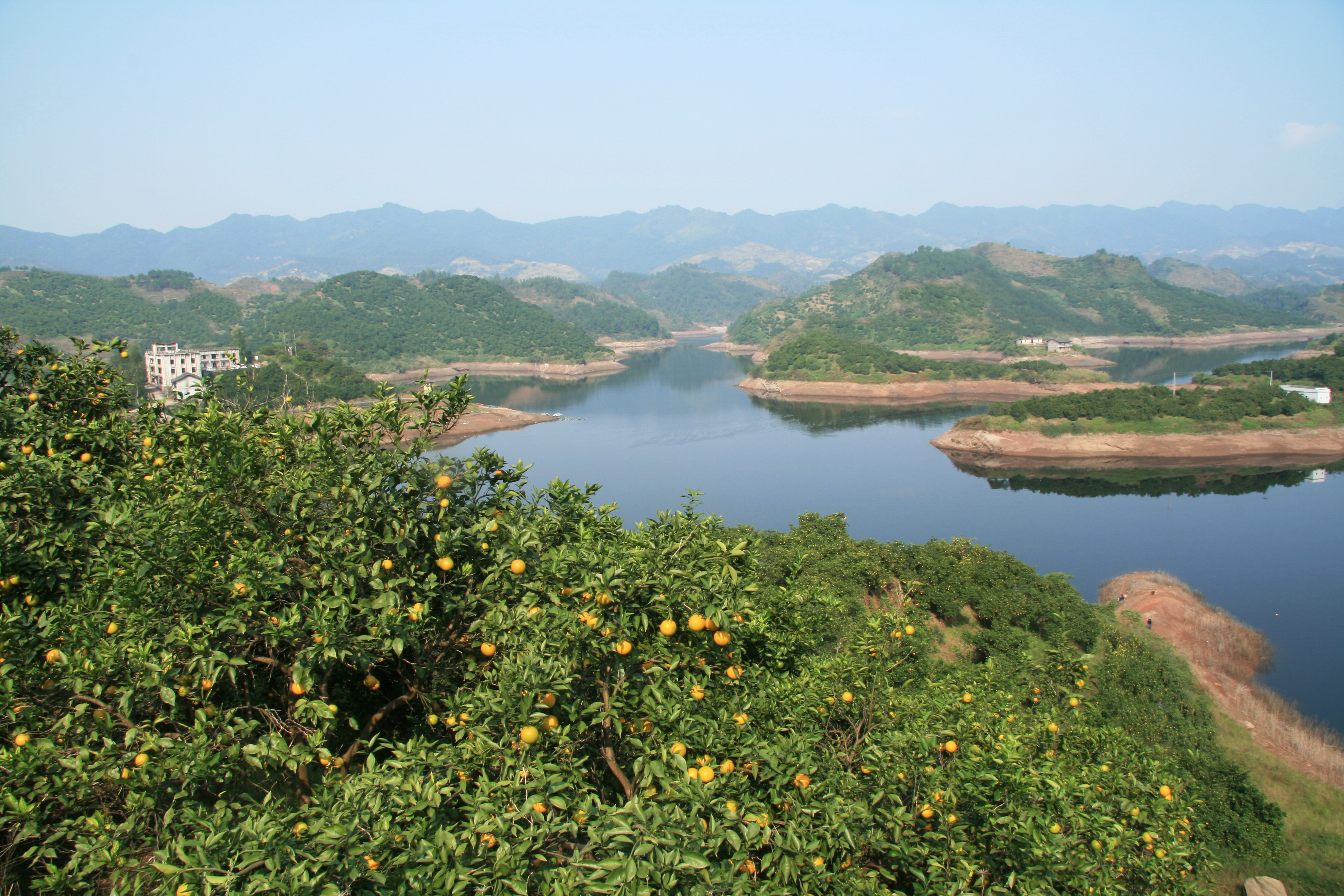 邻水最大的水利灌溉工程——万秀桥水库动工兴建